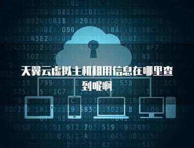 虛擬主機(jī)租用中的密碼輸入與安全保障