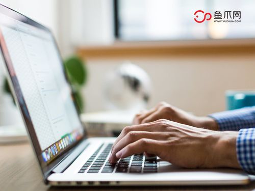 打破傳統(tǒng)，聚焦個(gè)體 從魚(yú)爪網(wǎng)看個(gè)人互聯(lián)網(wǎng)服務(wù)的品牌發(fā)展新路徑